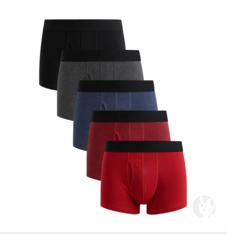 Underwear